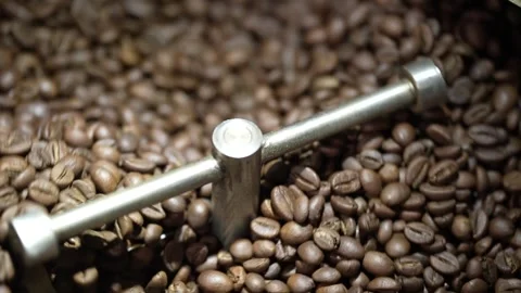 Slow motion of coffee beans being stirred on a mixing shovel Stock Footage 262404030