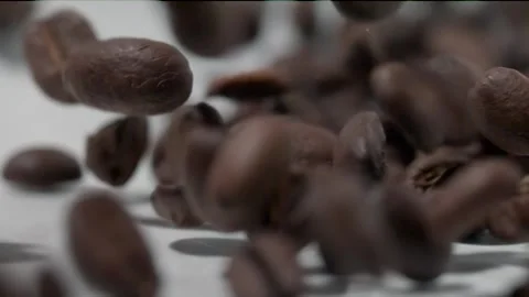 Slow motion coffee beans bouncing across the screen on white background Stock Footage 145213825