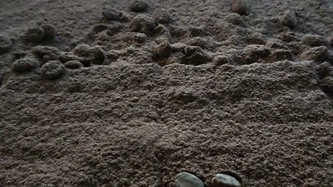 Slow motion coffee beans falling 스톡 동영상 88664723