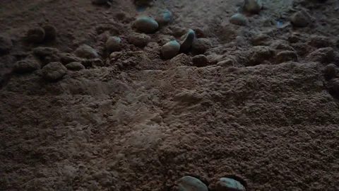 Slow motion coffee beans falling 스톡 동영상 88671644