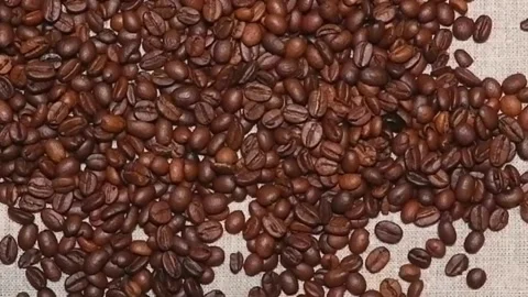 Slow motion. Coffee beans falling on the table Stock-Footage 155457267