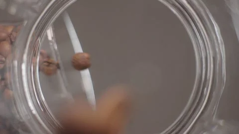 Slow Motion Coffee Beans Falling Inside Glass Jar POV Vídeo Stock 330539104