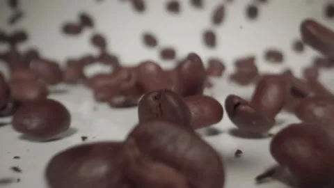 Slow motion coffee beans rolling past camera lens on white background Stock Footage 144781961