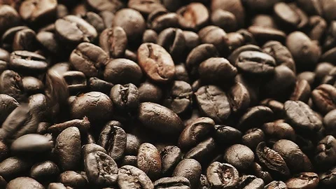 Slow motion coffee beans smoothly dropping on natural light on freshness morning Stock Footage 92282801