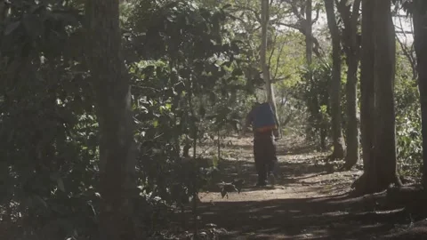 Slow motion coffee farmer in Diriamba, Nicaragua, tropical Latin America Stock Footage 208458271