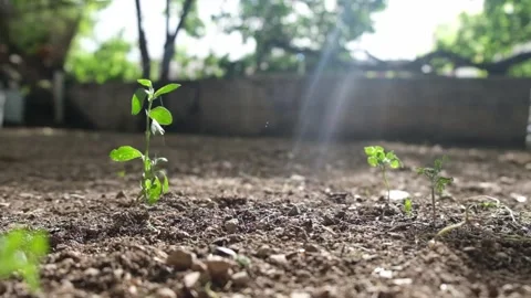 Slow Motion Coin Rain Stock Footage 132862996