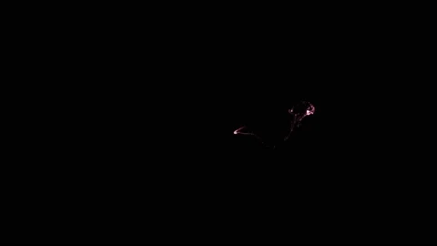 Slow-motion of collision isolated on black background animation. Stock Footage 218276801