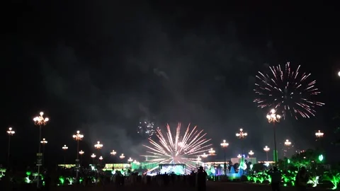 Slow Motion Colorful fireworks that explode and fill the darkness of the nig Stock Footage 204619258