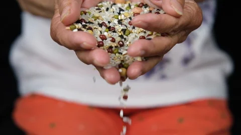 Slow motion - Colourful beans flow from a senior woman's hands Video stock 114640164