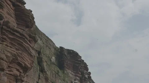 Slow Motion Colourful Sandstone Cliff from Below with Seagulls Flying Around Stock Footage 70791005