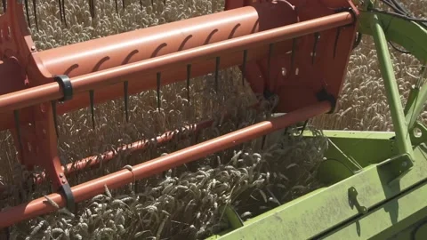 Slow motion. Combine harvester close up. Field of wheat Stock Footage 139649161