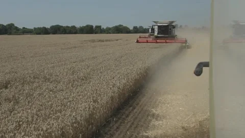 Slow motion. Combine harvester close up. Field of wheat Stock Footage 139649220