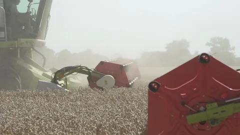 Slow motion. Combine harvester close up. Field of wheat Video stock 139650168
