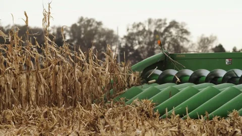 Slow-motion Combine harvesting corn Stock-Footage 234333335