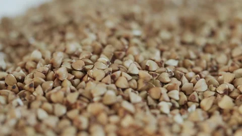 Slow motion common buckwheat seed fall 4K footage Stock Footage 172055629