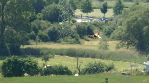 Slow-motion: common buzzard flapping wings, hovers over rural landscape, bird Video stock 111277723