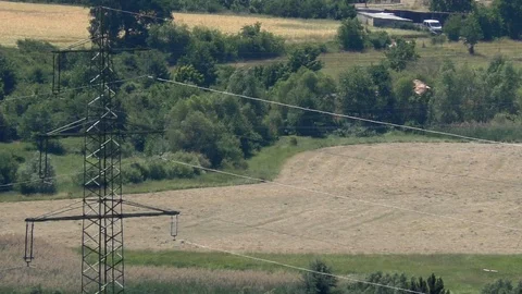 Slow-motion: common buzzard flying over landscape, power pylons, rural village Stock Footage 111278144
