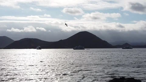 Slow motion Comoran Bartolome Galapagos Stock Footage 253308696