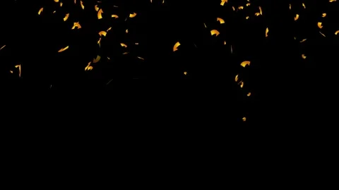 Slow Motion Confetti Rain Falling Down Animation 4k. Colorful Confetti Falling. 库存影片 336503002