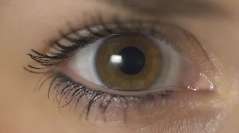 SLOW MOTION: Contraction of the pupil Stock Footage