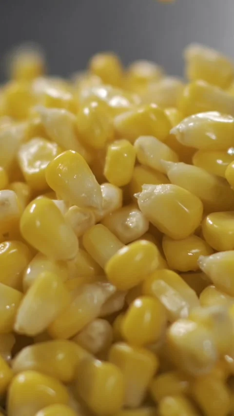 Slow motion of corn kernels falling and bouncing in close up view Видео 337229220