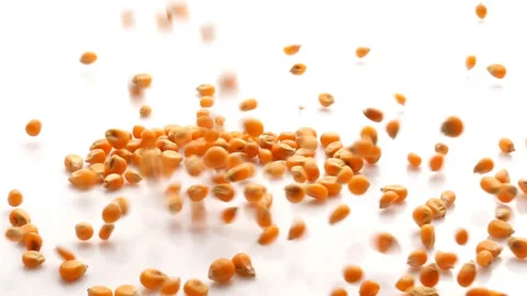 Slow Motion of Corn Kernels poured on white Table Stock Footage 143379064
