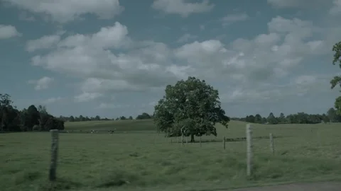 Slow Motion Countryside Tree and Pasture Scenery in Sunshine Coast Hinterland Stock Footage 341298262