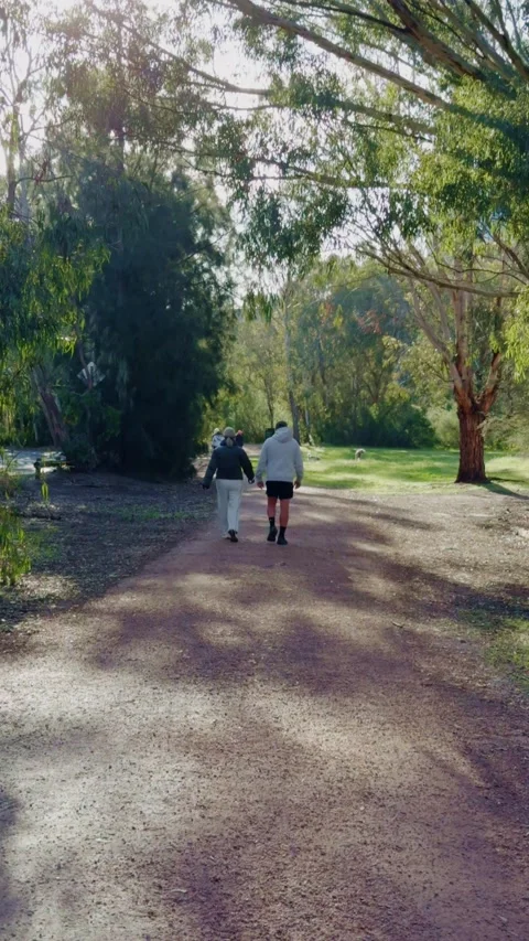 Slow motion of a couple walking dog along forest trail Video stock 321999837