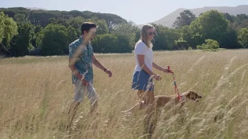 Slow motion couple walking their dog in field nature Stock Footage 85652158