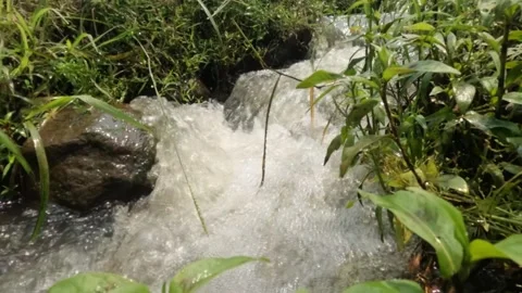 Slow motion creek with splashes surrounded by green grass Stock Footage 322760442