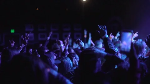 Slow motion Crowd at concert Video stock 89640876