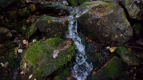 Slow motion of crystal clear waterfall in the forest. Stock Footage 172577558