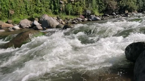 Slow motion of a crystal rocky mountain river flowing rapidly Stock-Footage 320920689