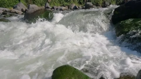 Slow motion of a crystal rocky mountain river flowing rapidly Stock Footage 320920718