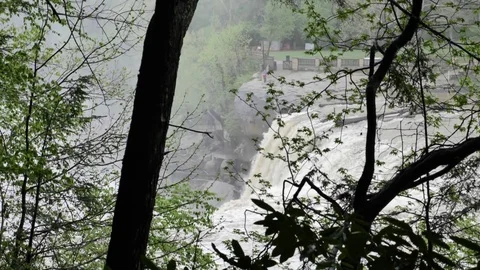 Slow Motion Cumberland Falls Through Trees Stock Footage 75461066