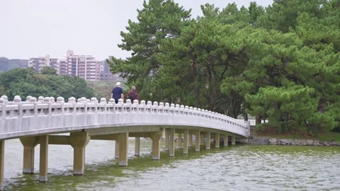 Slow motion of curved bridge crossing lake surrounded by trees at Ohori Park Stock Footage 321419898