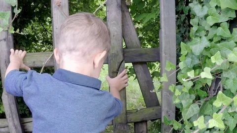 Slow motion, cute boy entering magical garden, opening wooden door Video stock 82193017