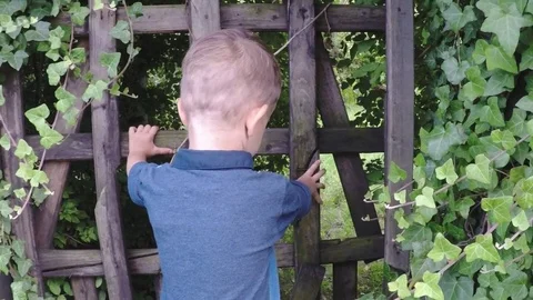 Slow motion, cute boy entering magical garden, running Stock Footage 82194940