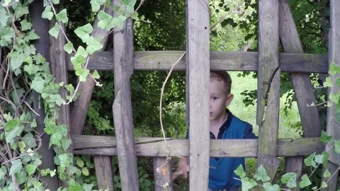 Slow motion, cute boy in magical garden, wooden door Stock Footage 82192928