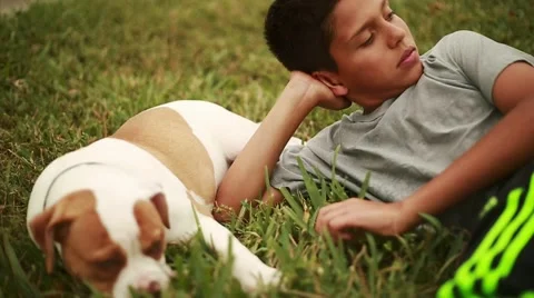 Slow motion of Cute Kid relaxing out in grass with Adorable Dog Stock Footage 49747756