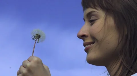 Slow motion of Dandelion being blown by a young smiling woman. Slow motion 240 Vidéo 49720437