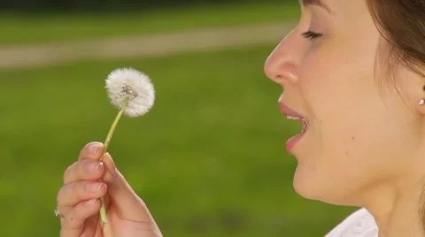 Slow motion of Dandelion being blown by a young happy woman. Slow motion 240 fps Vidéo 49722108