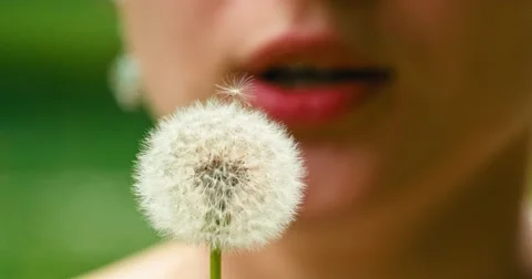 Slow motion of Dandelion being blown by a young smiling woman. 4K DCi 120 fps. Vídeo Stock 49757797