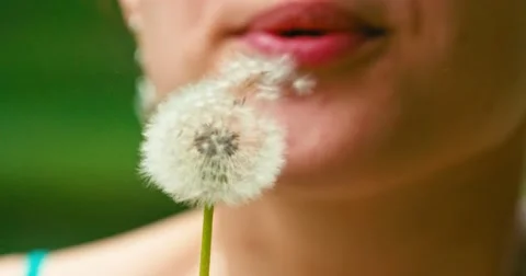 Slow motion of Dandelion being blown by a young smiling woman. 4K DCi 120 fps. 動画素材 49757828