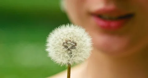 Slow motion of Dandelion being blown by a young smiling woman. 4K DCi 120 fps. Vidéo 49757838