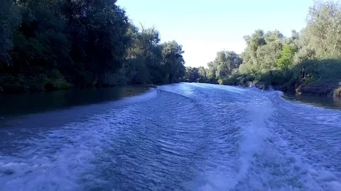 Slow motion of Danube Delta Stock Footage 79751900