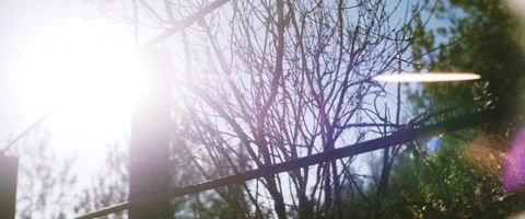 Slow Motion Desert Bush Video stock 53258404