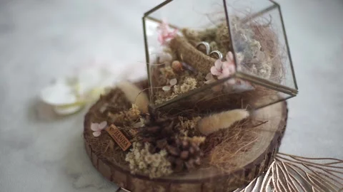 Slow Motion Detailed Shot of Pair of Wedding Rings with Bridal Essentials Stock Footage 342082651