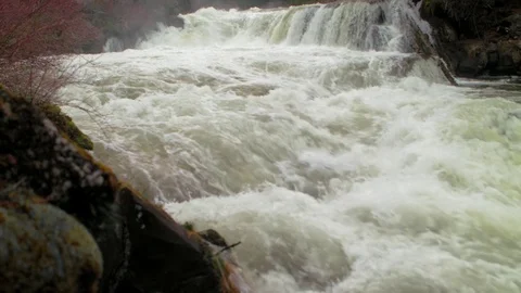 Slow Motion Dillon Falls Near Bend OR Video stock 83199697
