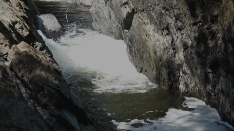 Slow motion dipper Cinclus cinclus flies to nest,feeds nestling Video stock 108053874